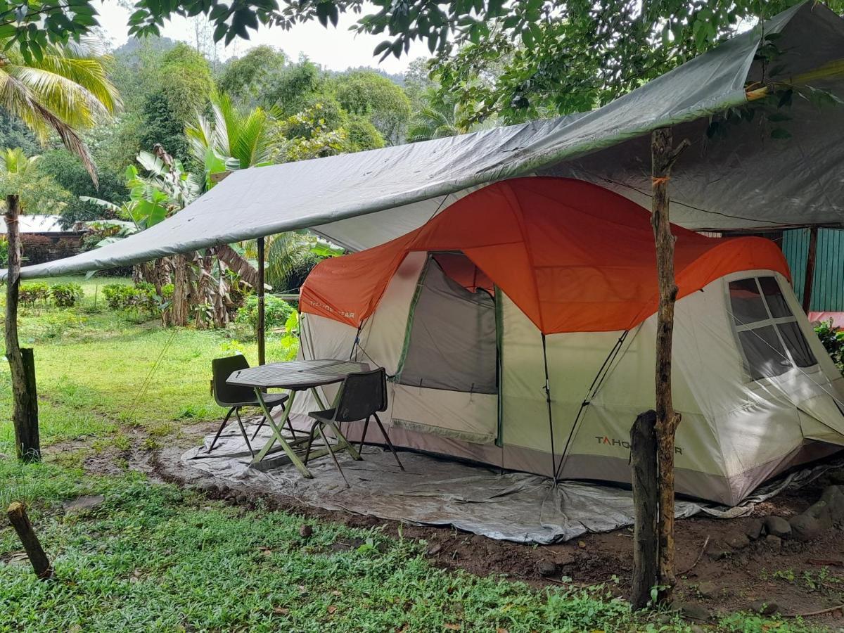 3 Rivers Eco Lodge ロザリー エクステリア 写真