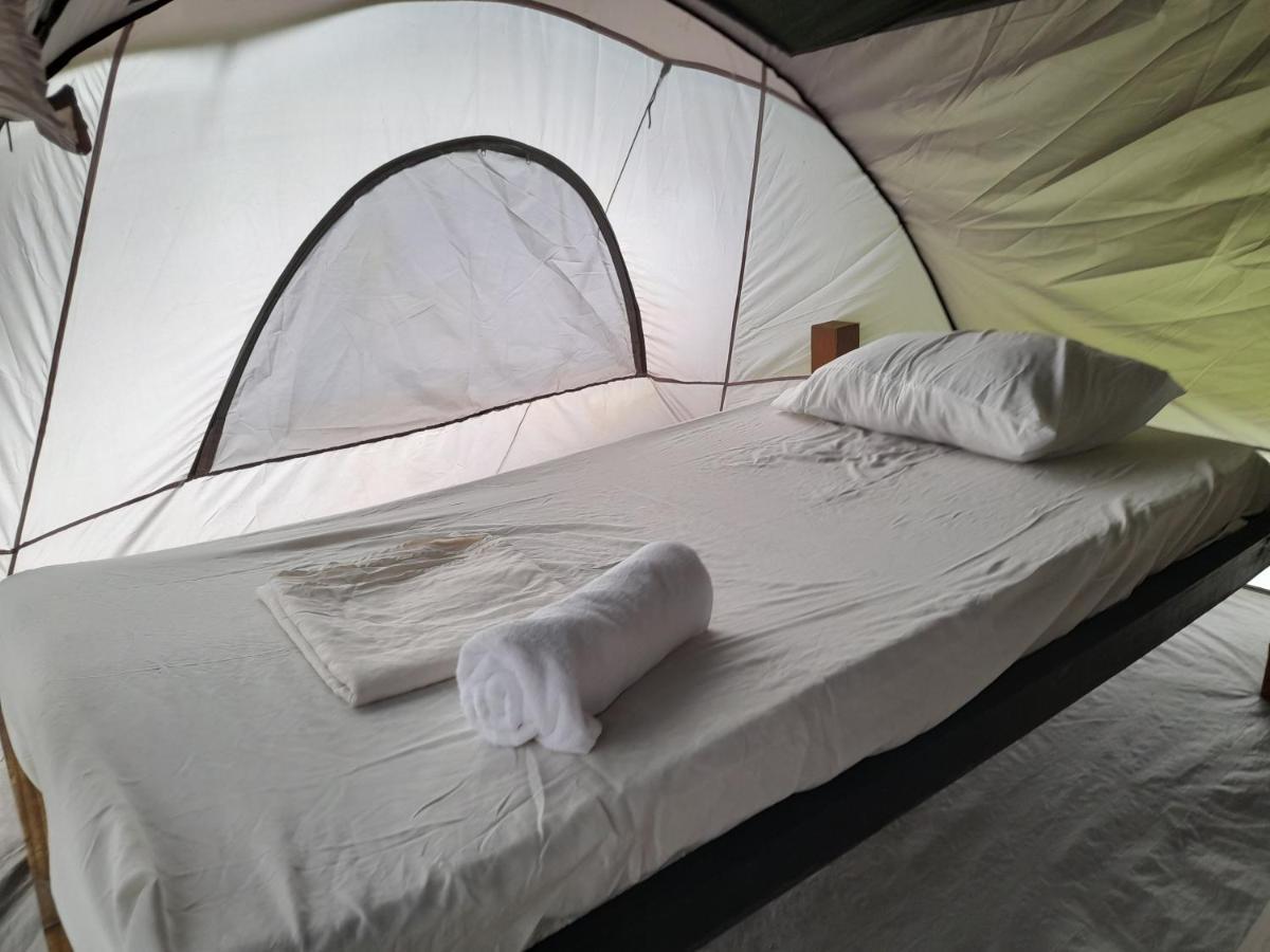 3 Rivers Eco Lodge ロザリー エクステリア 写真