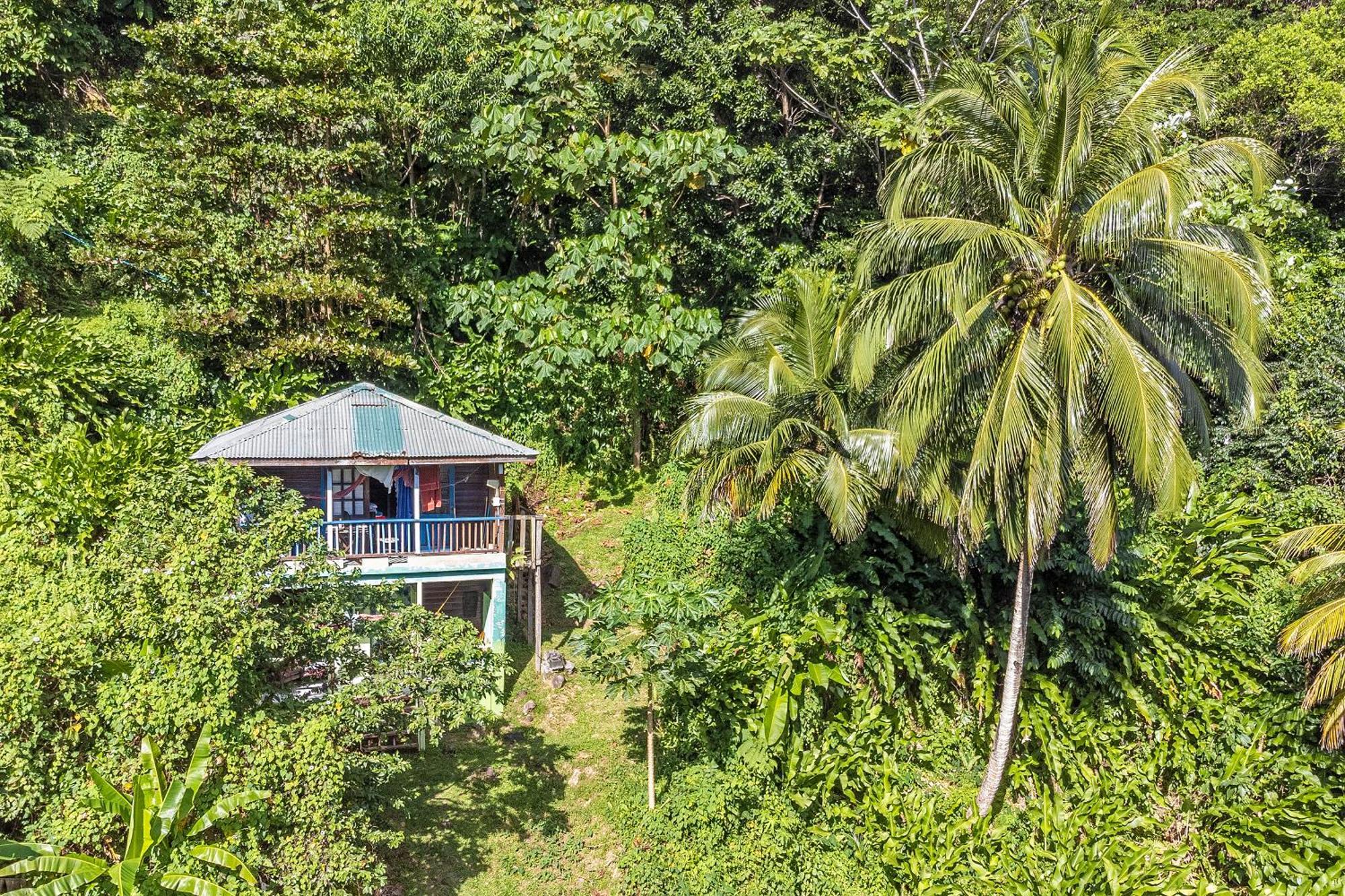 3 Rivers Eco Lodge ロザリー エクステリア 写真