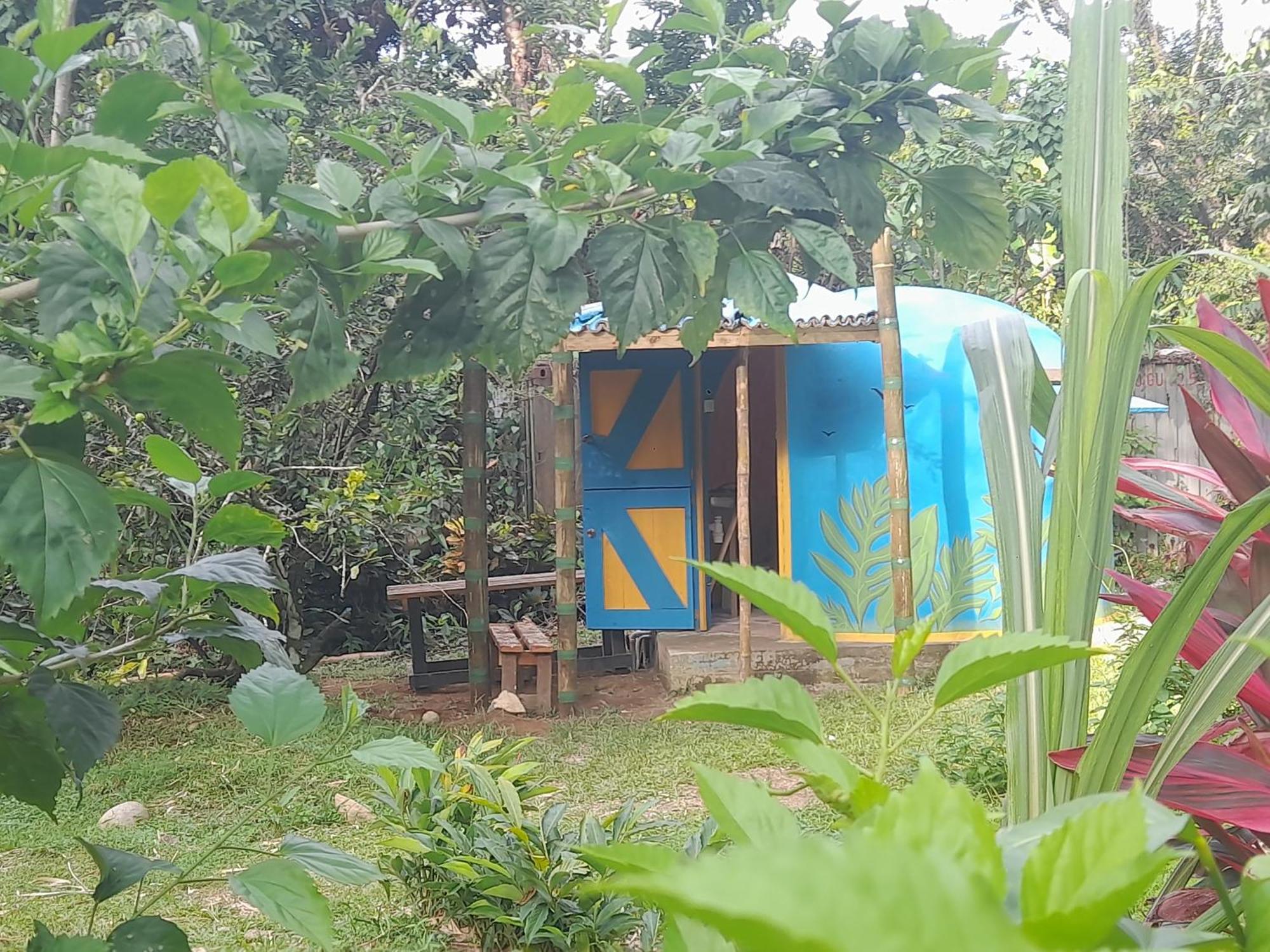3 Rivers Eco Lodge ロザリー エクステリア 写真