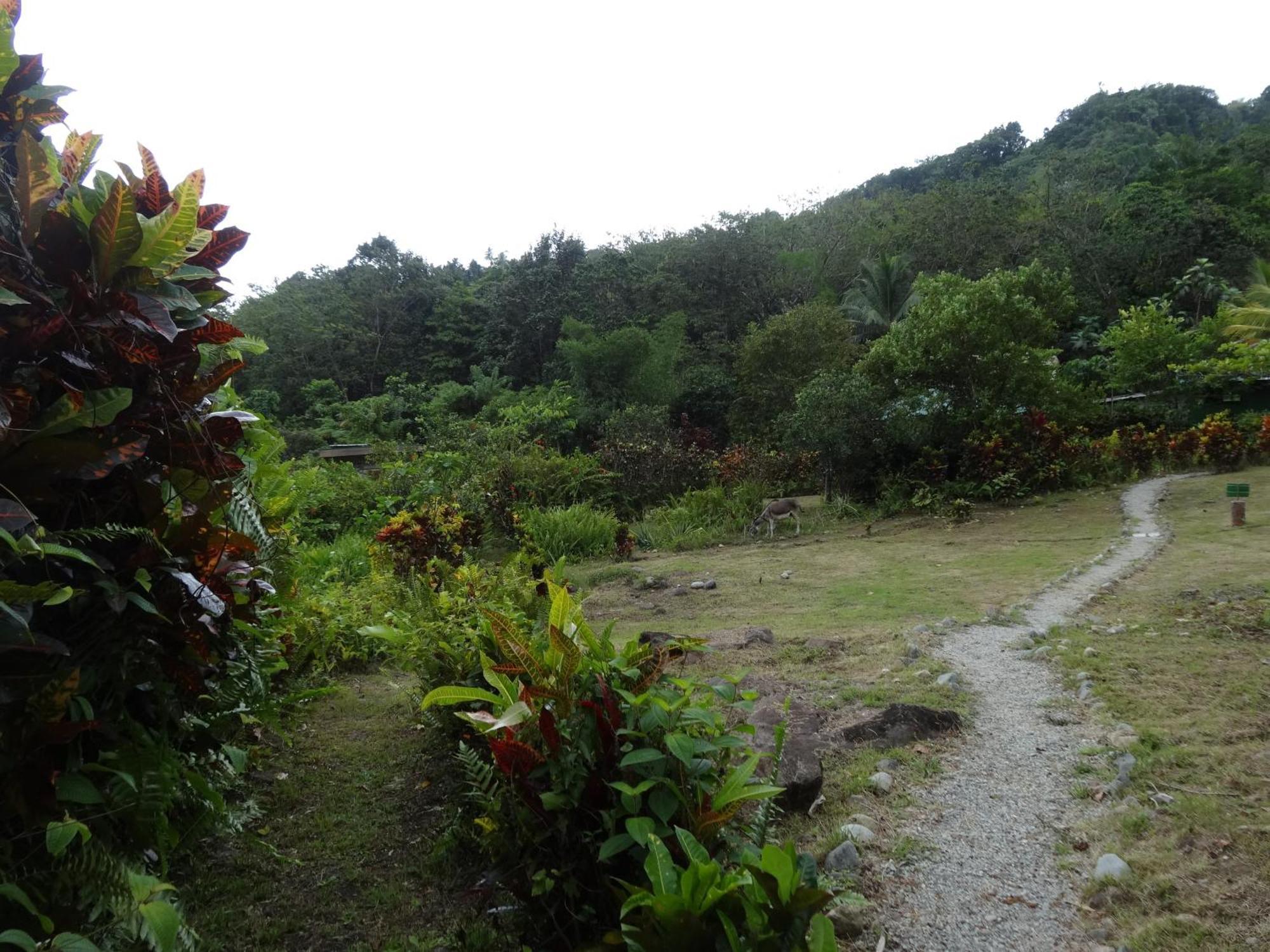 3 Rivers Eco Lodge ロザリー エクステリア 写真