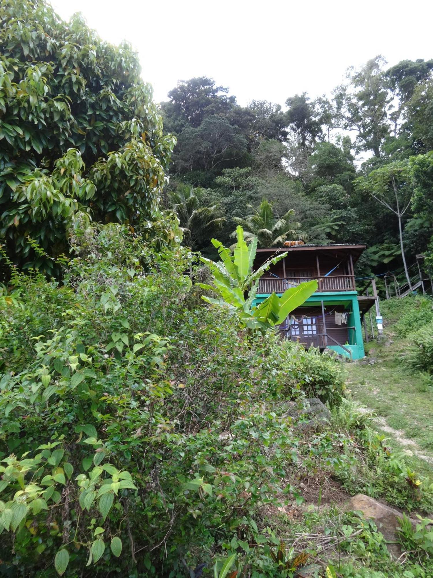3 Rivers Eco Lodge ロザリー エクステリア 写真