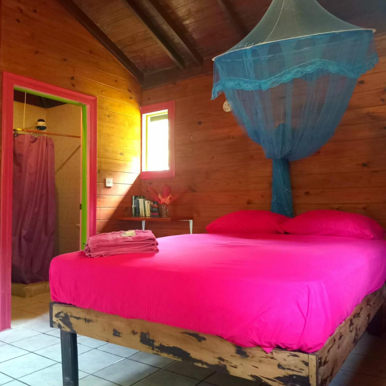 3 Rivers Eco Lodge ロザリー エクステリア 写真